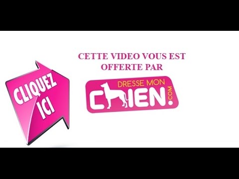 le pistage du chien suite fuite 1 individu - YouTube