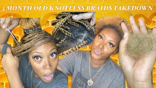 Taking Down 3 Month Old Knotless Braids