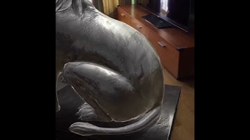 ARkit - Lighting test Virtual Voyagers