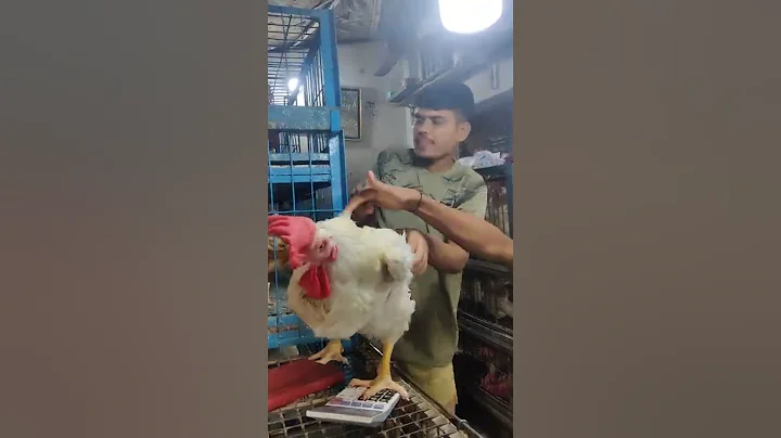 Big Chicken Cutting | Foodie Man | BD Chicken Cutting | Chicken Cutting #shorts - DayDayNews