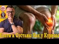 Твои кости и суставы рассыпаются просто на ходу! Срочно пей ЭТО!