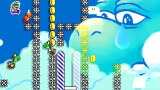 Can You Beat My Evil Yoshi Killing Level? My Hardest Mario Maker 2 Course