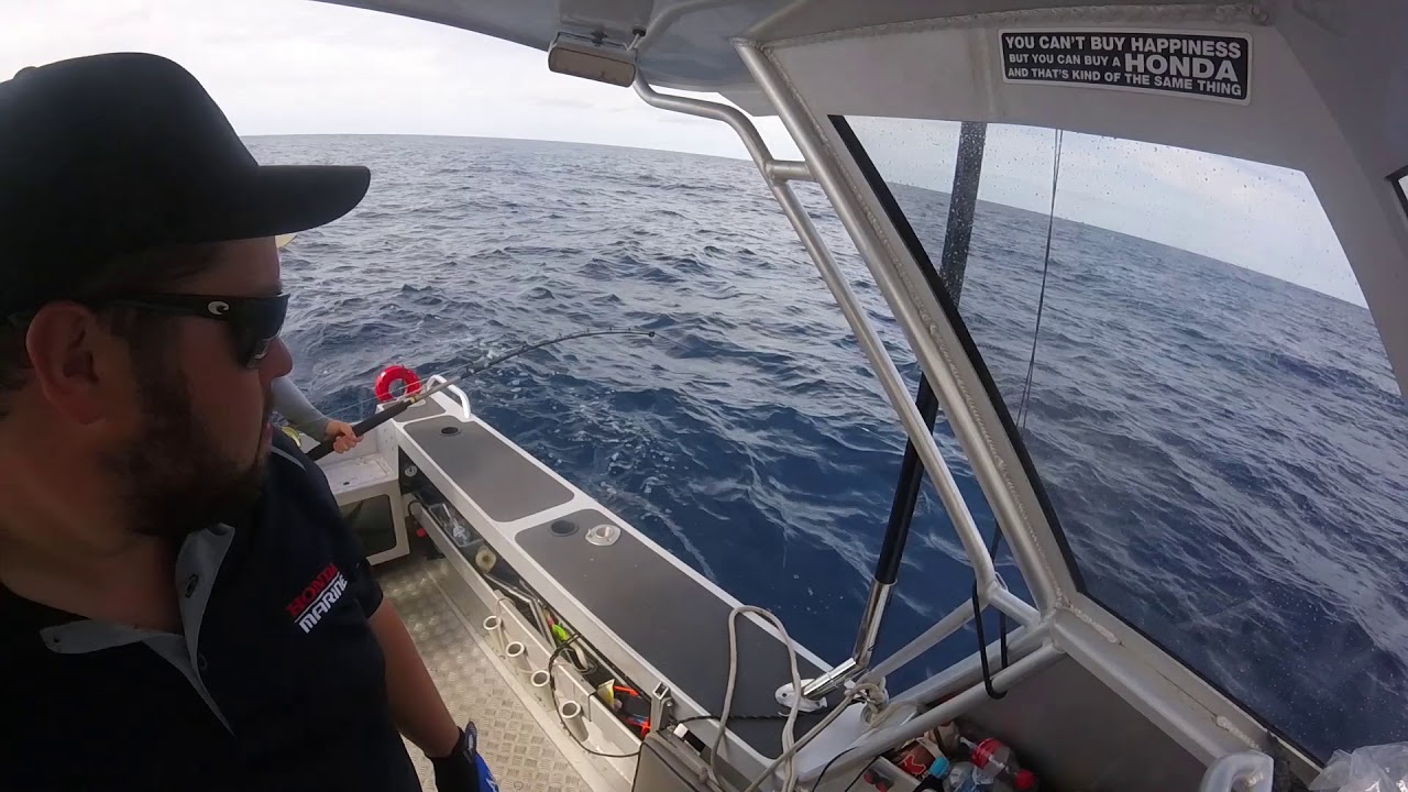 Marlin on Skip Bait Bermagui, Australia 2018 *** YouTube