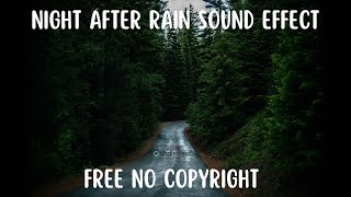 Suara Malam Hari Setelah Hujan di Pinggir Jalan | Night Sound Effect After Rain
