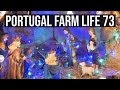 ITS FINALLY OVER! - Portugal Farm Life 73 ⚠