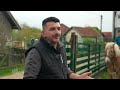 Piljužići - prvi dio | Epizoda 1 | Ljetna kuhinja | Hayat TV