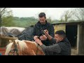 Piljužići - prvi dio | Epizoda 1 | Ljetna kuhinja | Hayat TV