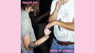 Video thumbnail of "Peach Pit - Tommy's Party"