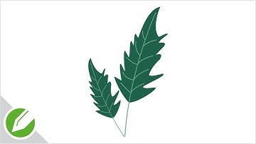 Arugula Leaf Drawing with CorelDraw | Flat Vector Style | Drawing | CorelDraw Tutorial