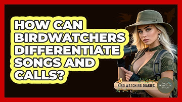 How Can Birdwatchers Differentiate Songs And Calls? - Bird Watching Diaries