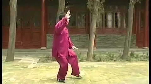 陈氏太极拳老架一路 - 全套正面演练 ----- 张东武 - 天天要闻