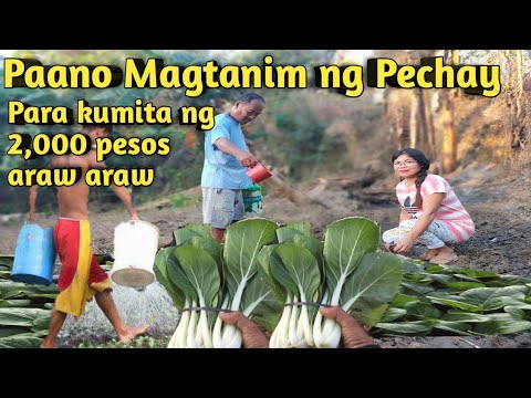Video: Paano Makalkula Ang Pang-araw-araw Na Rasyon