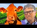 NEW Cyber Attack - The END of Meat | What the MEDIA isn&#39;t TELLING You!!