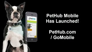PetHub - Go Mobile! screenshot 4