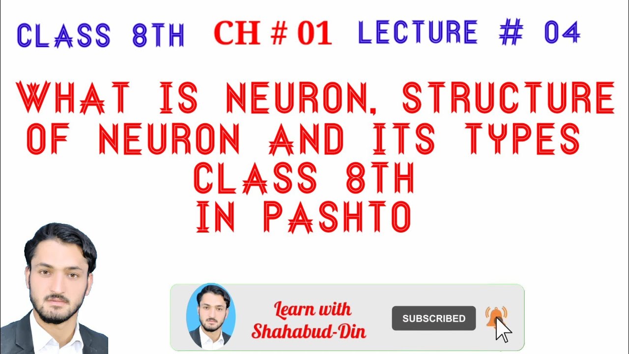 neuron structure and types || neuron structure and function 