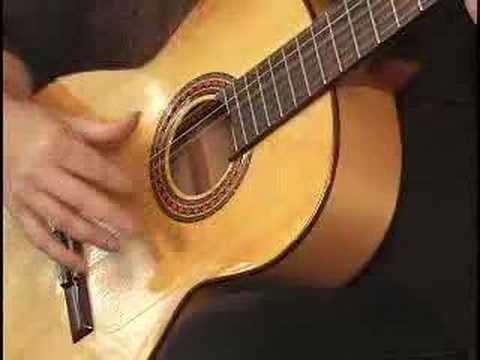 How to Play Flamenco Guitar Made Easy Instructional DVD Spanish Flamenco Guitar Lesson