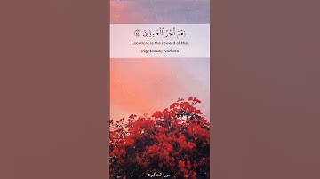 فارس عباد تلاوة مؤثرة حالات واتس اب قرآن كريم