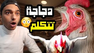 دجاجة عملاقة مجنونة تطارد عبده ماندو في مزرعة المجانين😱Chicken Feet