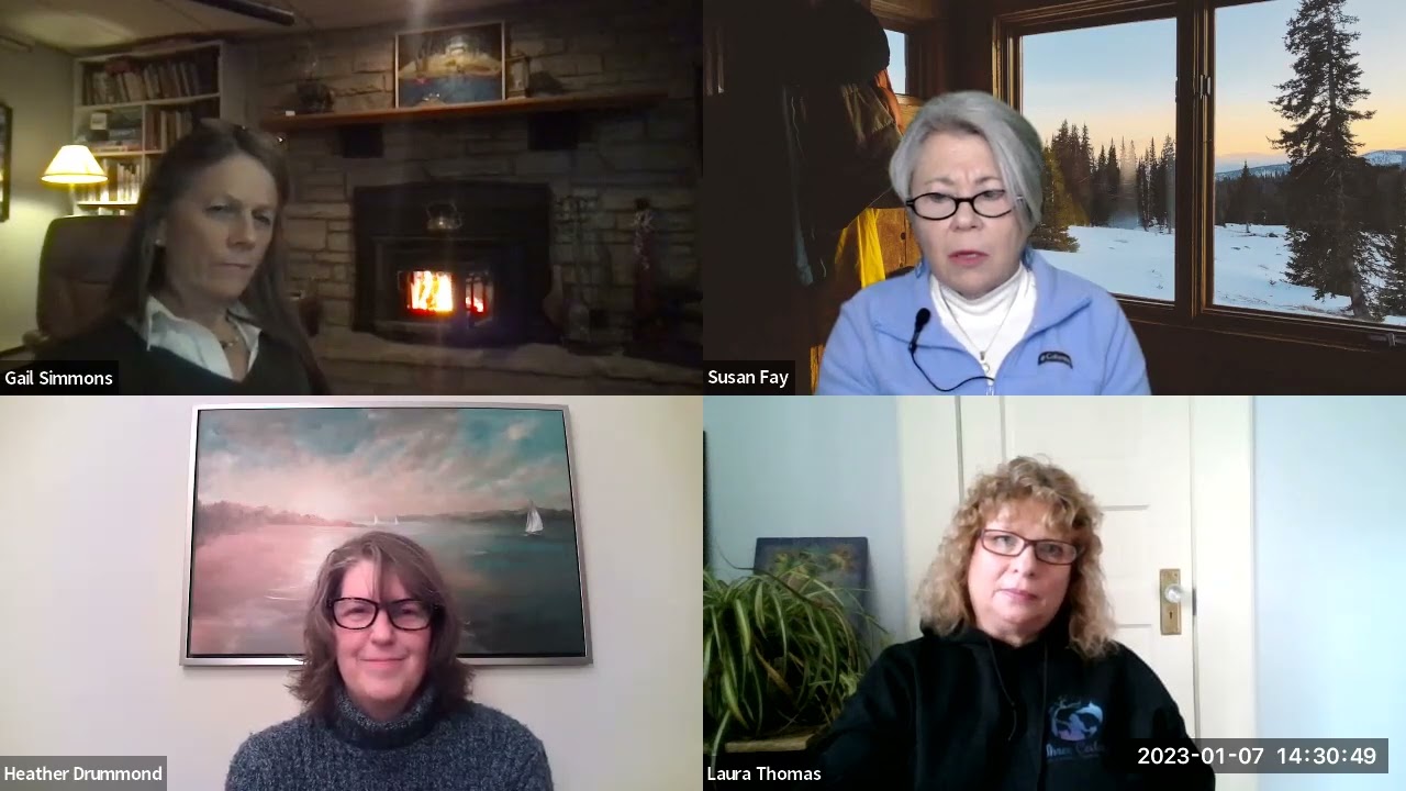 Zoom Meeting Part 2 - 1/7/23