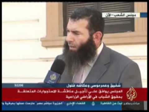حقوق الشباب في الأراضي الزراعية.. مؤجلة