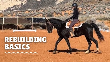 From Groundwork to First Ride | Retraining a Gaited Trail Horse