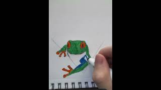Learning to Draw Frog 2 #art #satisfying #drawing #froglovers