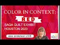 Alex Anderson LIVE: SAQA Quilt Exhibit - Houston 2023