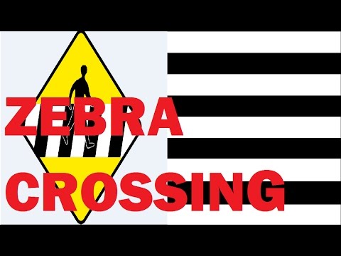 zebra crossing essay in hindi