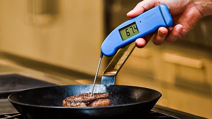 Reference Thermapen® Thermometer - ThermoWorks