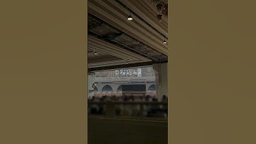 سورة الإخلاص | القارئ ياسر الدوسري