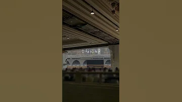 سورة الإخلاص القارئ ياسر الدوسري 
