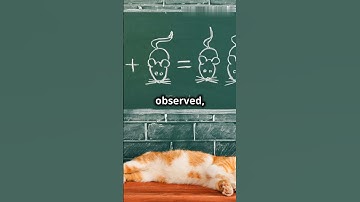 Schrödinger experiment: object dead and alive at the same time! #quantumuniverse