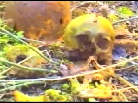 Вопрос: Какие животные и растения есть в Долине смерти?
