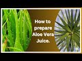 How to prepare aloe vera juice