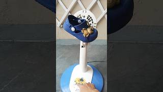 Fan  Flip Flops shorts fan kipasangin