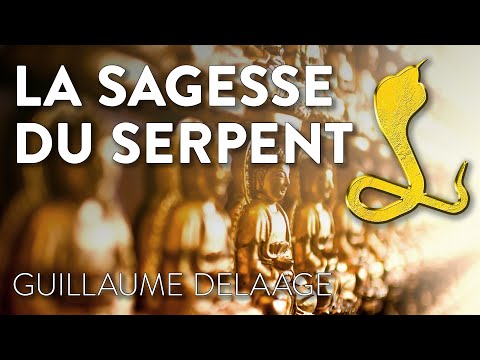 LA SAGESSE DU SERPENT
