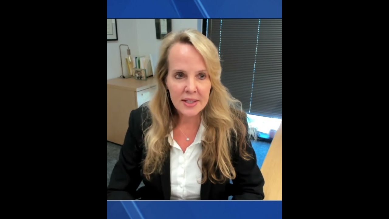 Perspectives Matter Fighting SLAPP Suits