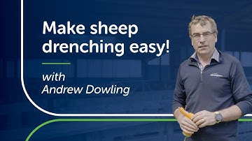 Make Sheep Drenching Easy! | PGG Wrightson Tech Tips