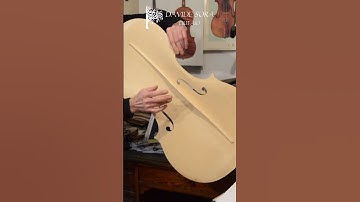 Cello Top: M5 tap tone sound (C# 139 Hz) - Tavola di violoncello: suono del M5 (Do# 139 Hz) #shorts