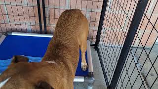 acs A653794