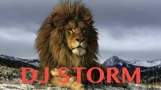 DJ STORM EARLY DANCEHALL MIX 1
