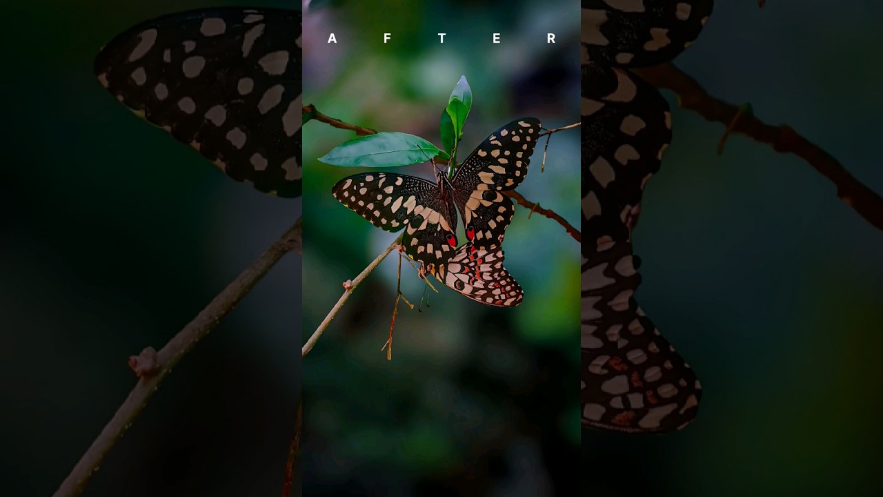 Dark background portrait photography ideas 💡|| Lightroom photo 🦋 editing 🎨