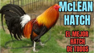 McLEAN HATCH.... EL ORIGEN e HISTORIA