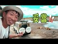 現場直擊非洲動物大遷徙！狂睡獅子王 非洲象 千軍萬斑馬 疣豬 最美保護區Ngorongoro Conservation Area