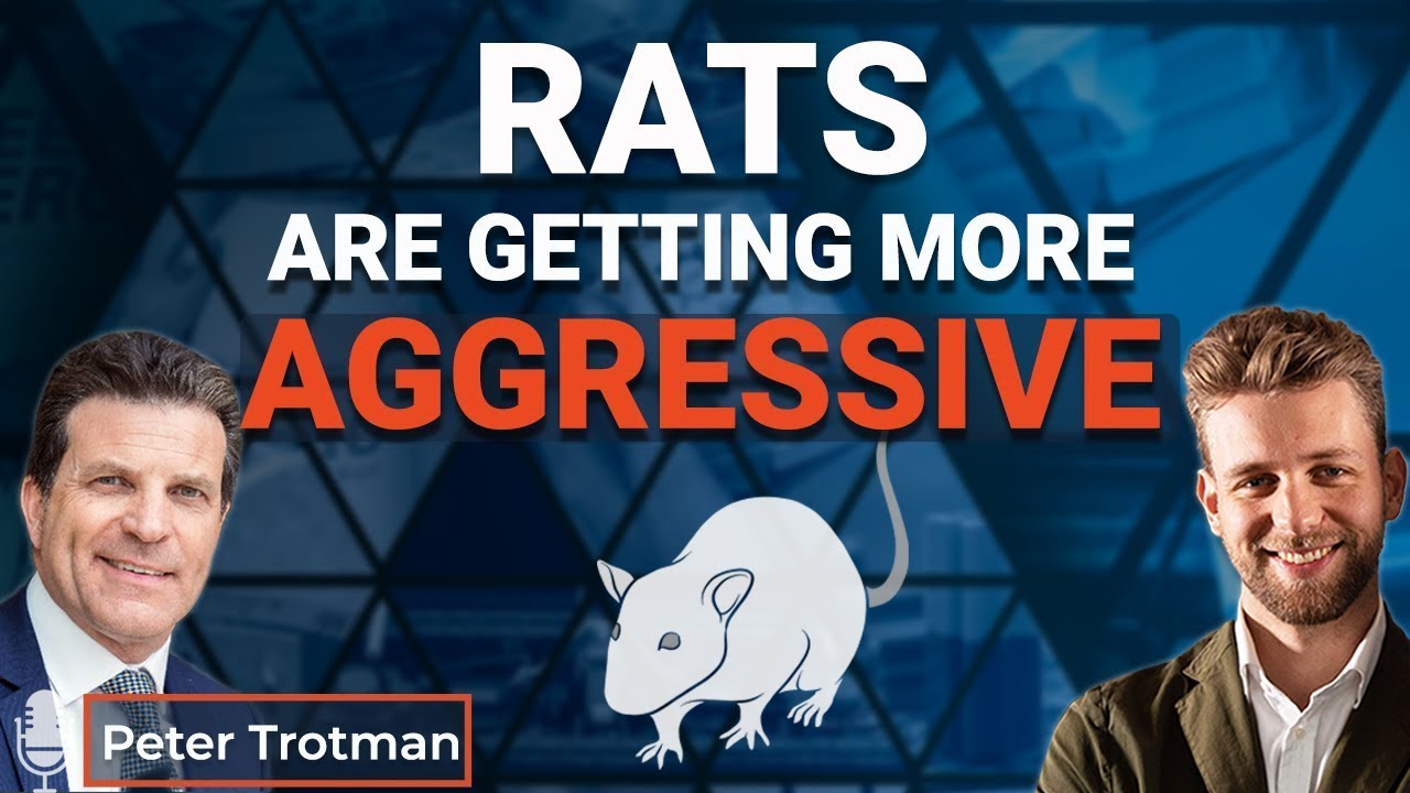 Talking Pest Management 🎙️ RODENT BEHAVIOR changed during quarantine? | Peter Trotman
