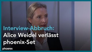 AfDParteitag: Alice Weidel bricht das Interview vorzeitig ab