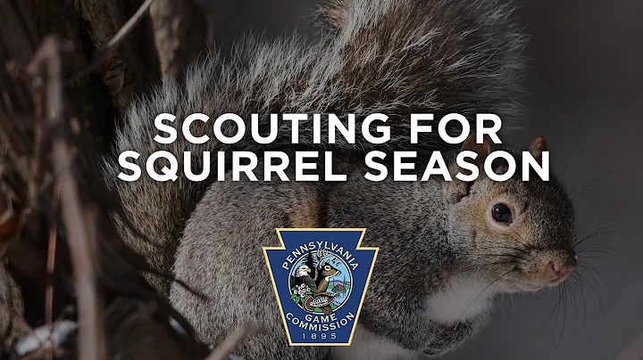 Scouting for Squirrel Hunting Season