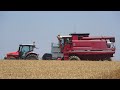 🇺🇸 International Harvester 1460 | Same Iron 120 | Crosetto