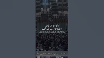 تلاوة فريدة للقارئ عبدالله القرافي #اكسبلور #تيك_توك #دويتو #لايك #حالات_واتس