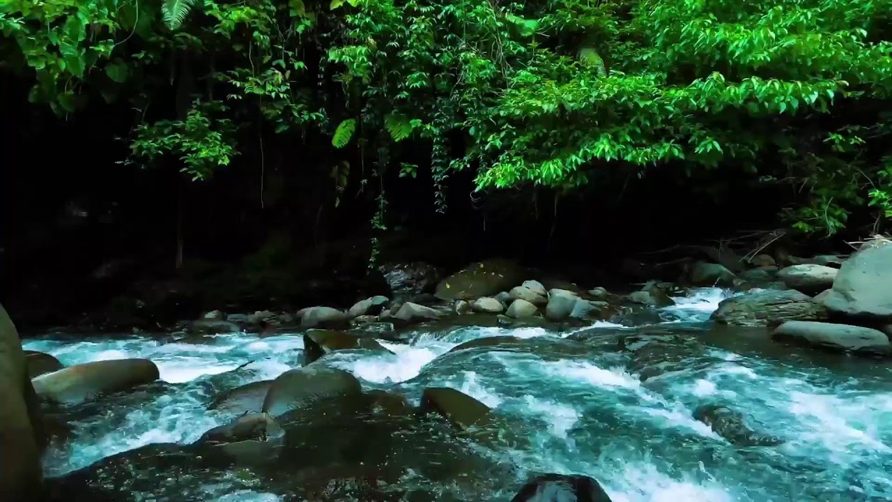 Dark Jungle River Flow – Deep Sleep Nature Sound with Rushing Water Sound